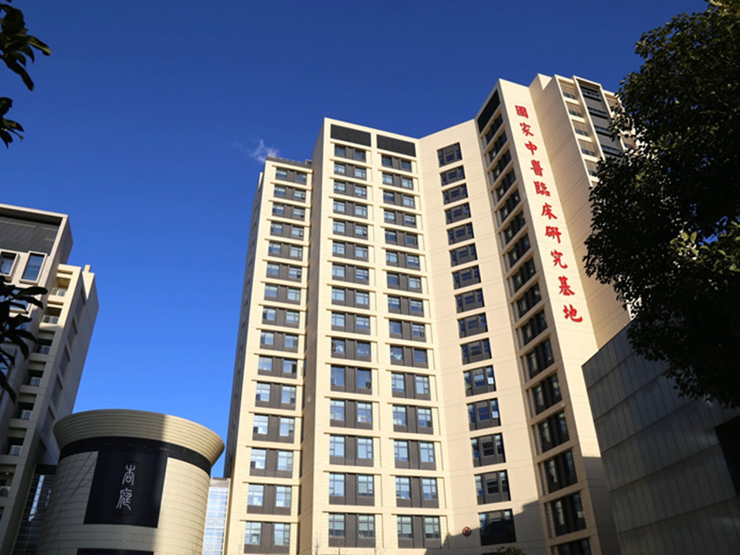 上海中醫(yī)藥大學(xué)附屬龍華醫(yī)院環(huán)境展示